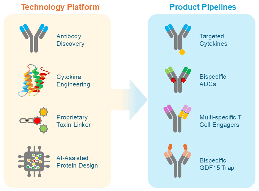 A diagram showcasing Anwita's technology workflow.